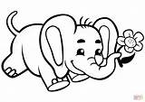 Elephant Coloring Baby Cute Pages Flower Template Supercoloring sketch template