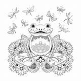 Pages Johanna Basford Frog Colorare Mandala Coloriage Adult Rane Adultes Frosch Enchanted Ranocchio Adulti Adulte Malvorlagen Ausmalbild Detailed Foret Enchantee sketch template