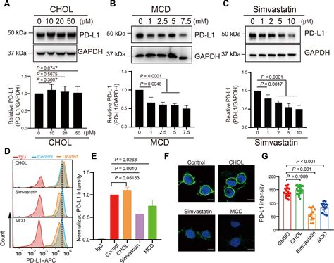 Regulation Of Pd L1 Through Direct Binding Of Cholesterol To Crac