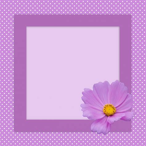 purple flower card frame  stock photo public domain pictures