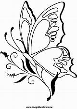 Schmetterling Ausmalbilder Schmetterlinge Ausdrucken Ausmalen Malvorlagen Blumen Ausmalbild Vorlage Vorlagen Mandalas Bauernmalerei Malbuch Einzigartig Blume Frisch Sternschnuppe Einhorn Malvorlage Weltkugel sketch template