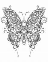 Coloring Pages Butterfly Adult Choose Board Flower Books Cool sketch template