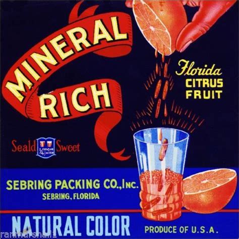 sebring florida mineral rich orange citrus fruit crate label art print fruit crate label