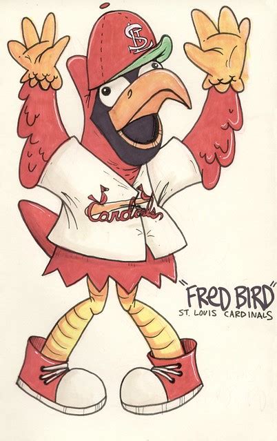 fred bird   st louis cardinals  coloring pages