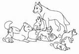 Wolf Coloring Pages Pack Wolves Baby Pup Drawing Printable Template Kids Wolfs Drawings Colouring Babies Print Color Animal Templates Magical sketch template