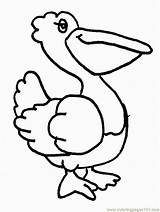 Pelican Pelicano Uccelli Pelicanos Pelikan Colorear Pellicano Boyama Kolay Colorat Pelicans Disegno Sayfalari Plansa Sevimli Animali Desenho Aves Okul Pintarcolorir sketch template