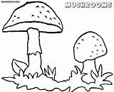 Coloring Mushroom Toadstool Pages Mario Getdrawings Getcolorings Outstanding Colorings sketch template