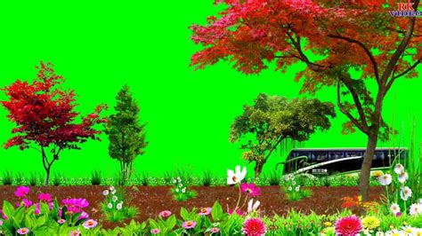 green screen backgrounds green screen background images beach background images