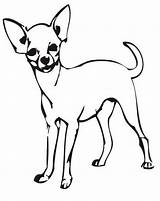 Chihuahua Coloring Pages Clipart Drawing Dog Da Line Cute Kids Chiwawa Clip Colorare Easy Puppy Colouring Popular Cane Adult Getdrawings sketch template