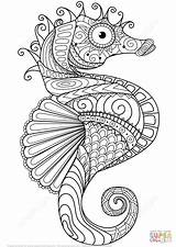 Ausmalbilder Seepferdchen Zentangle Ausmalbild sketch template