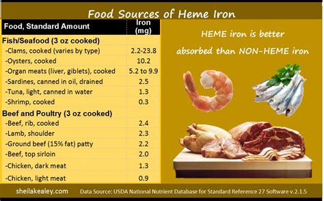 foods  good sources  iron sheila kealey