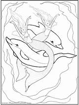 Mermaid Pages Coloring Dolphin Fairy Dolphins Fantasy Adults Phee Mcfaddell Mermaids Colouring Enchanted Color Designs Print Amp Printable Comments Adult sketch template