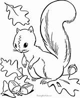 Coloring Fall Animals Pages Printable Popular sketch template