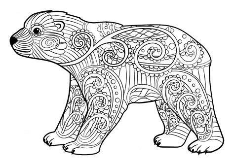 young bear bears adult coloring pages