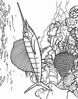 Zwaardvis Kleurplaten Swordfish Schwertfisch Malvorlage Stemmen Stimmen sketch template