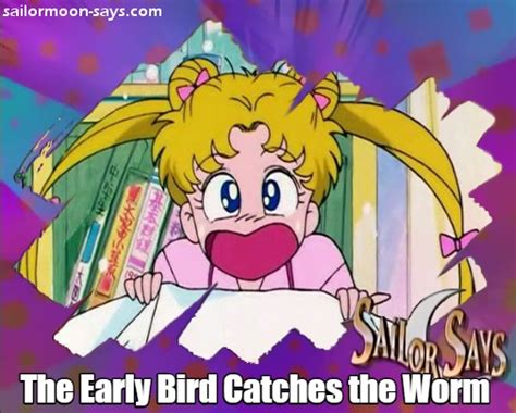 5 Lessons Learned From Sailor Moon Tuxedo Unmasked