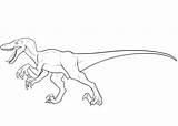 Velociraptor Dinosaur Bestcoloringpagesforkids sketch template