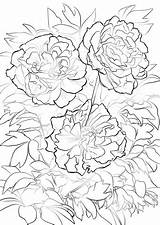 Coloring Peony Moutan Tree Pages Colorier Printable Coloriage Pivoine Supercoloring Fleur Drawing Dessin Imprimer Categories Coloriages Mandala Template Depuis Enregistrée sketch template