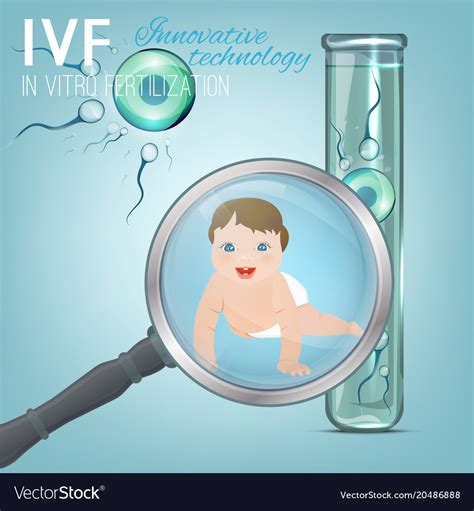 in vitro fertilisation concept royalty free vector image