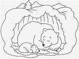 Animais Dos Fichas Da Animales Coloring Bear Trabalho Nossas Pages Salvato Es sketch template