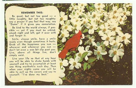 vintage cardinal bird poem postcard cardinals pinterest cardinals