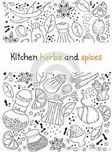 Spices Coloring Template Herbs Drawing Doodles Sketch sketch template