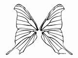 Ailes Papillon Coloring Wing Fairy Fairies Sketch Dragonfly Beau Insecte sketch template