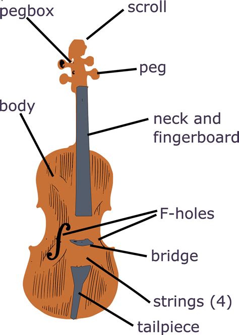 violin parts diagram