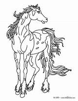 Horse Coloring Pages Wild Online Print Horses Color Hellokids Animal Old Choose Board Icolor West sketch template