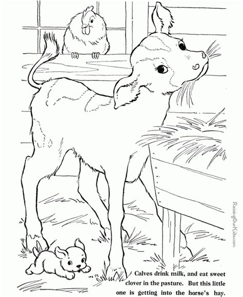 preschool farm animal coloring pages  print nobi