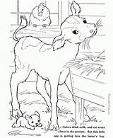 Coloring Farm Pages Print Preschool Animal sketch template