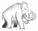 Mammoth Mammoths Cave Prehistoric Mammuth Disegnare Wooly Extinct sketch template