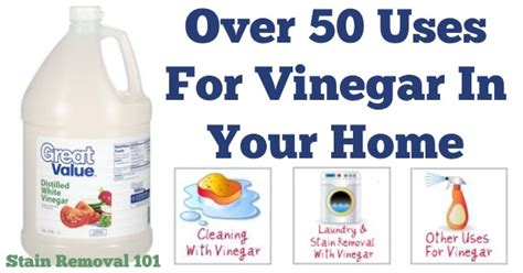 vinegar  tips  cleaning