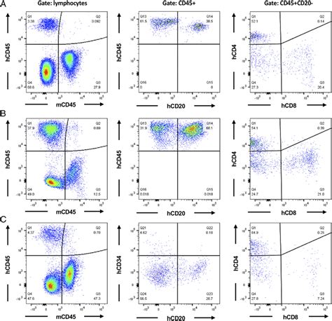 Human Immune Cell Reconstitution Of Nsg A Gal Null Mouse Pbmcs A