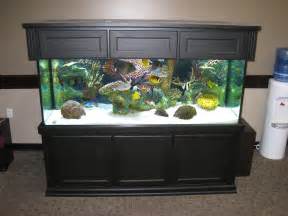 300 gallon aquarium in a office. Grand Forks N.D.
