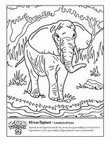 African Coloring Pages Elephant Savanna Landscape Zoo Tycoon Trunk Template Drawing Biomes Wikia Getdrawings Popular sketch template