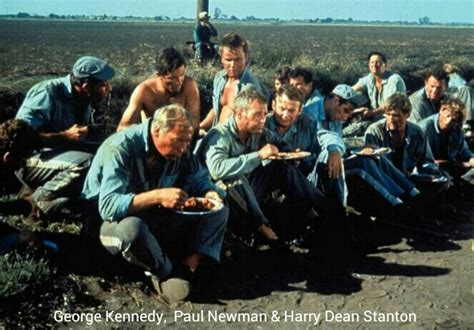 45 Best Images About Cool Hand Luke Sometimes Nothing