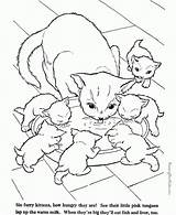 Koty Kolorowanki Kot Kolorowanka sketch template