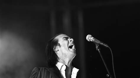 nick cave and the bad seeds music fanart fanart tv