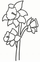 Clipart Daffodil Template Clip Drawing Daffodils Line Drawings Outline Printable Print Cliparts Bunch Coloring Preschool Clipartbest Under5s Teapot Designs Library sketch template