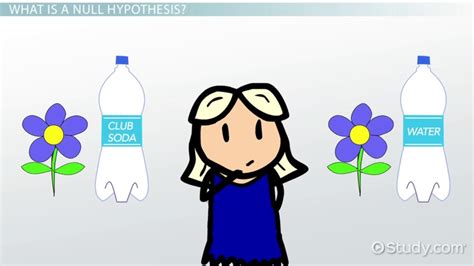 hypothesis examples