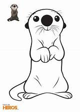Coloring Pages Otter Nemo Finding Animal sketch template