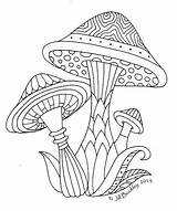 Mushrooms Hongos Colouring Toadstools Shroom Setas Colorear Patrones Doodles sketch template