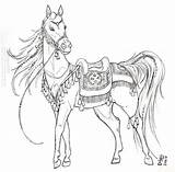 Horse Tack Arabian Mare Colouring Printable Ceremonial Arab Billed Alter Galidor Ego 1384 Visiter Cheval sketch template