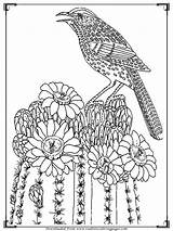 Coloring Pages Birds Adult Bird Adults Printable Realistic Source Visit Site Details sketch template