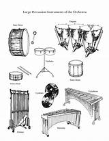 Percussion Instrument Coloring Symphony Lancaster Orchestra Musicale Scuola Educazione sketch template