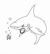 Shark Coloring Scary Pages Little Printable Scares Fish Lemon sketch template