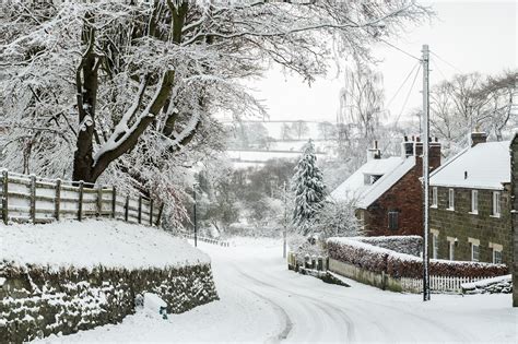 photo winter village scene branch plant winter   jooinn