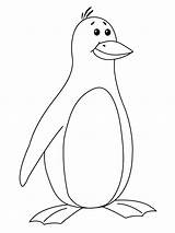 Penguin Coloring Pages Easy Head Template sketch template
