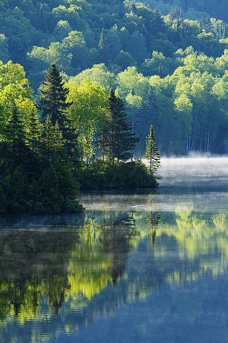Canadian Summer Morning In 2020 Nature Photography